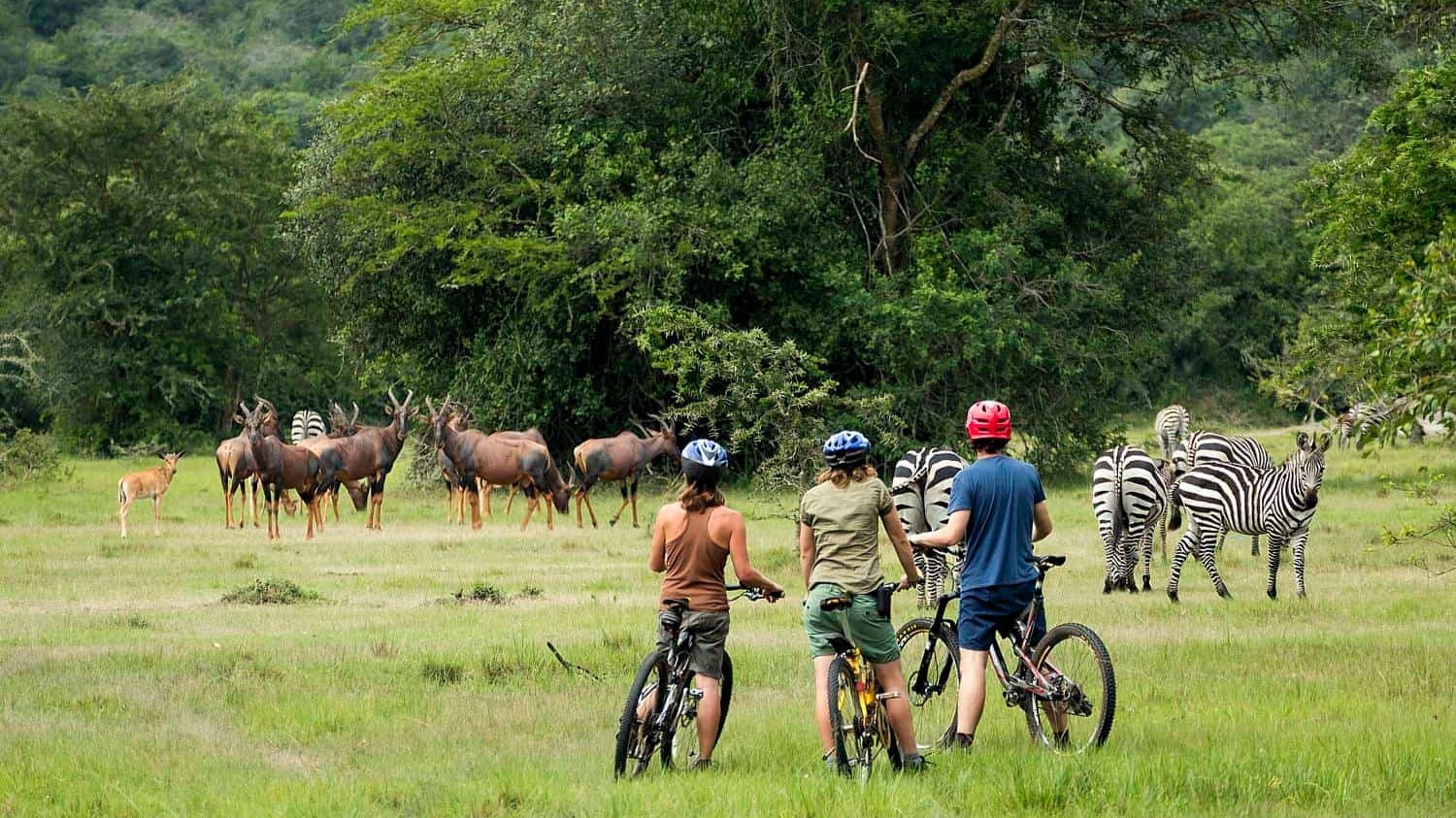17 Days Ultimate Northern Safari and Trekking (Tanzania) - Image - 11905